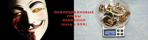 ешки Алексин
