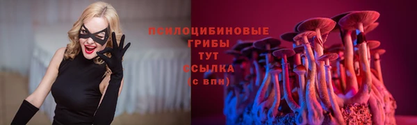 эйфоретик Алексеевка