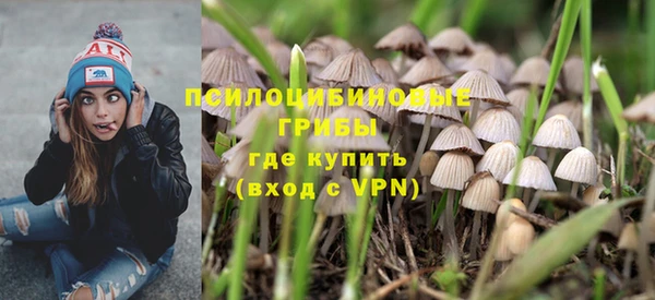 ешки Алексин