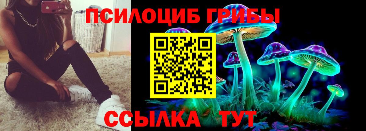 Галлюциногенные грибы Cubensis  Вход с VPN  Тихвин  Псилоцибиновые грибы мухоморы 